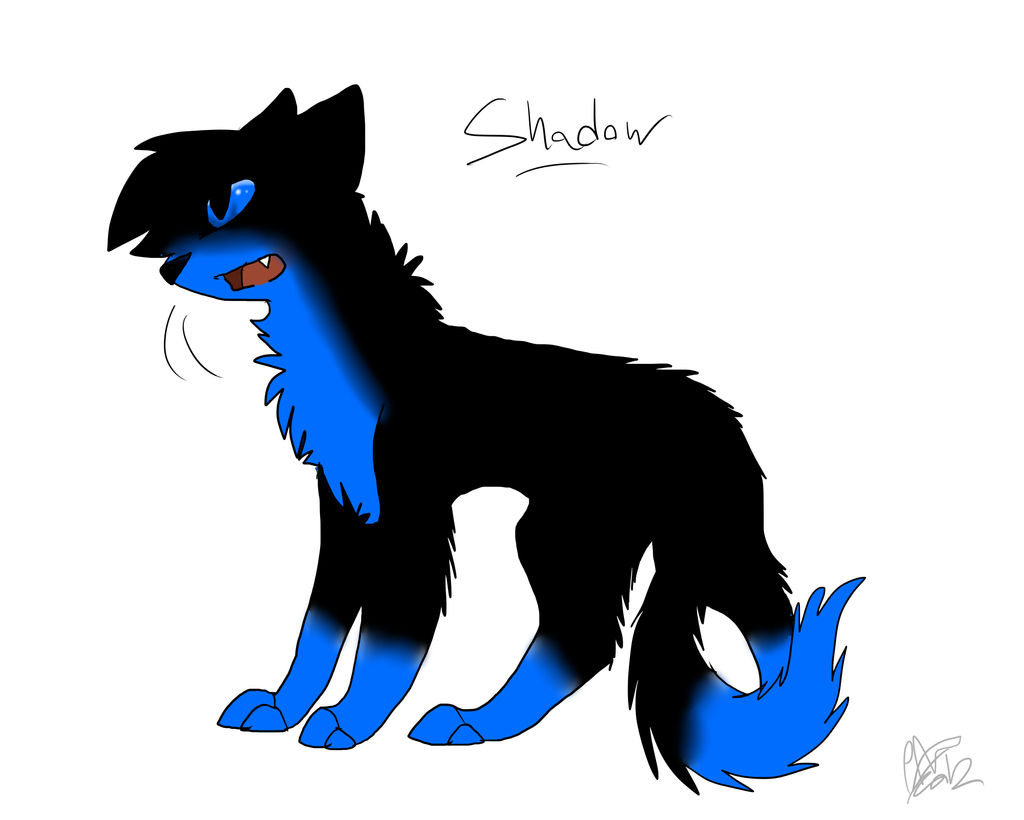 -Request- Shadow