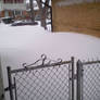 Chicago Blizzard 2011 pic s