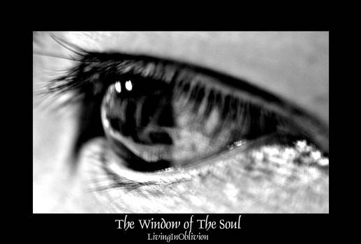 Window of the Soul