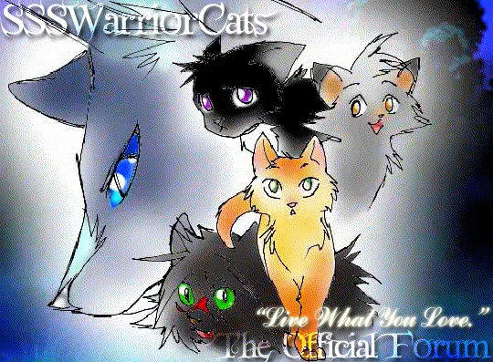 Warrior Cats Midnight by FireMoon9 on DeviantArt