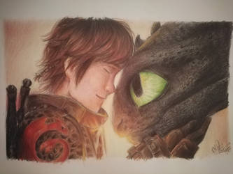 Hiccup and Toothless 