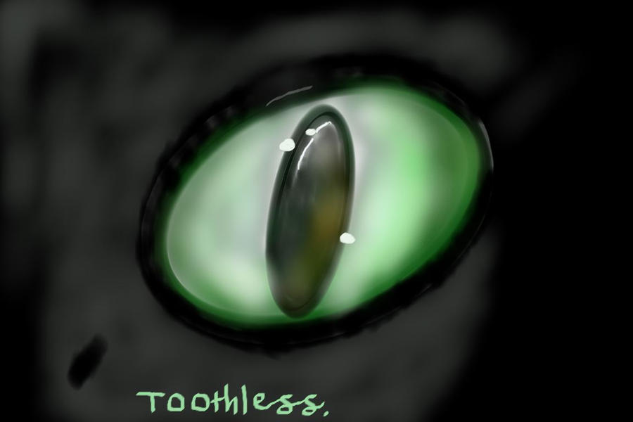 Toothless eye:D by LugiaUmbreonPower on DeviantArt