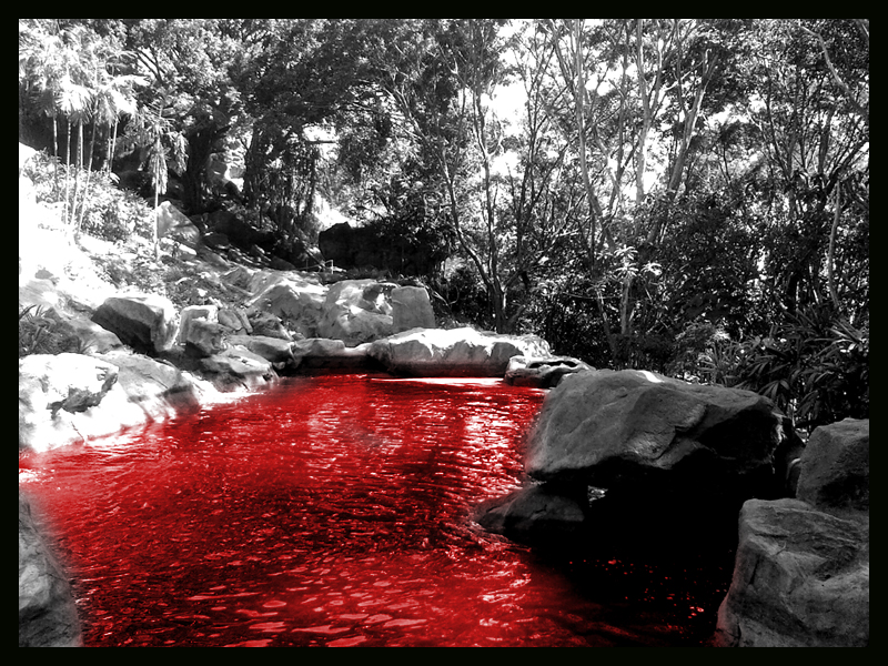 The Pool of Blood