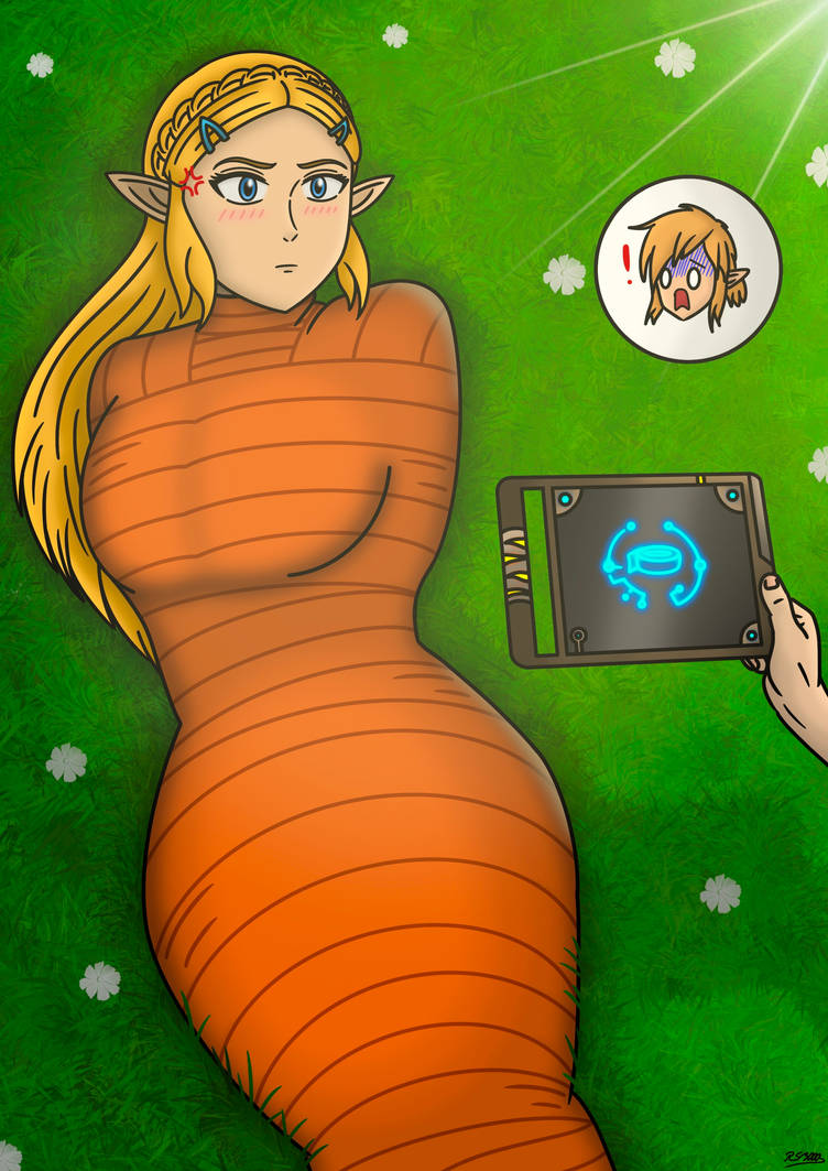 Randomstuff3000 Zelda I swear it was an accident! by randomstuff3000 on DeviantArt