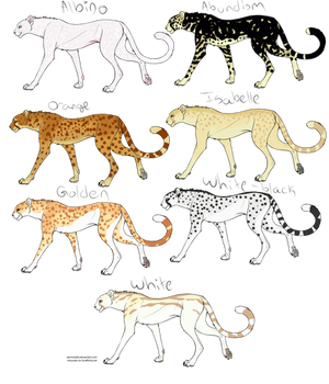 Cheetah Adopt Batch 2 OPEN (6/7)