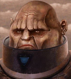 Sontaran 2015