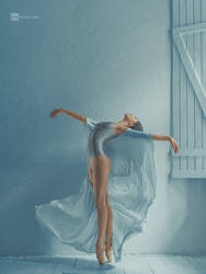 ballet as art by DanHecho