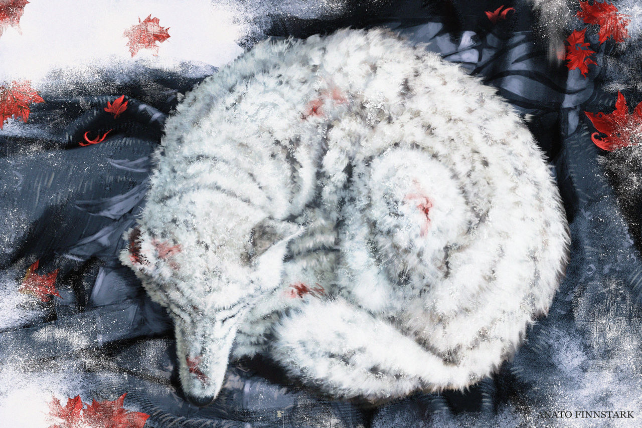 The heart stays in the north ( Game of thrones ) by AnatoFinnstark