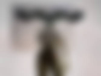 Dryad