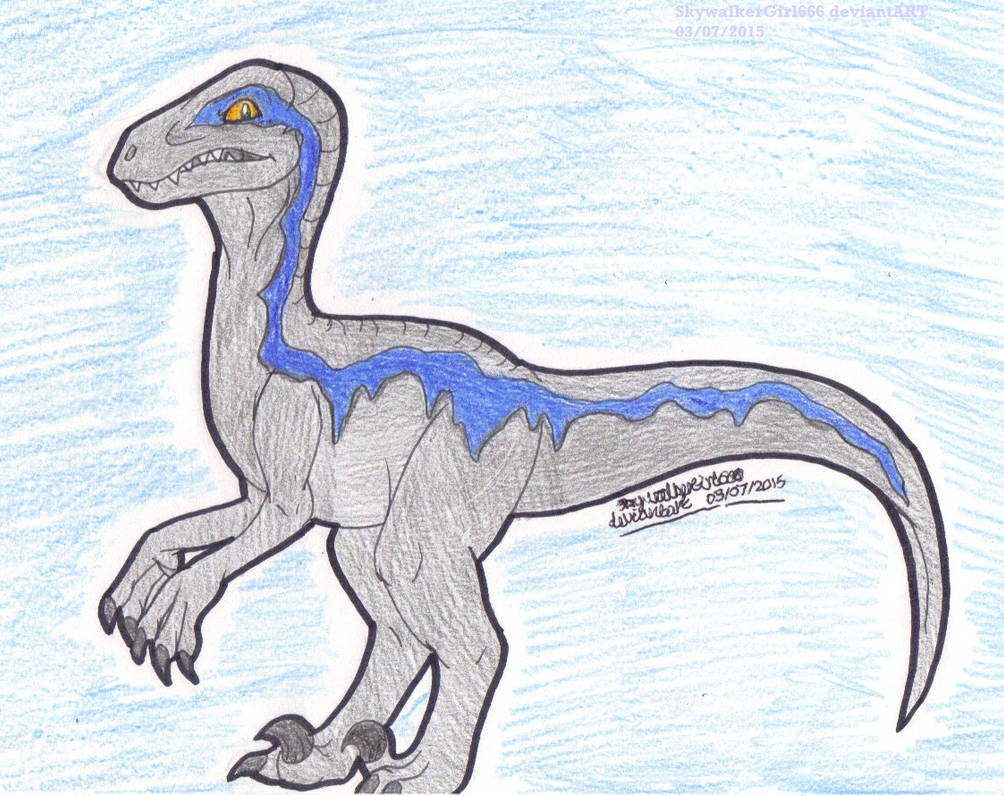Blue The Raptor By Artistnjc On Deviantart Blue The Raptor By Artistnjc On Deviantart