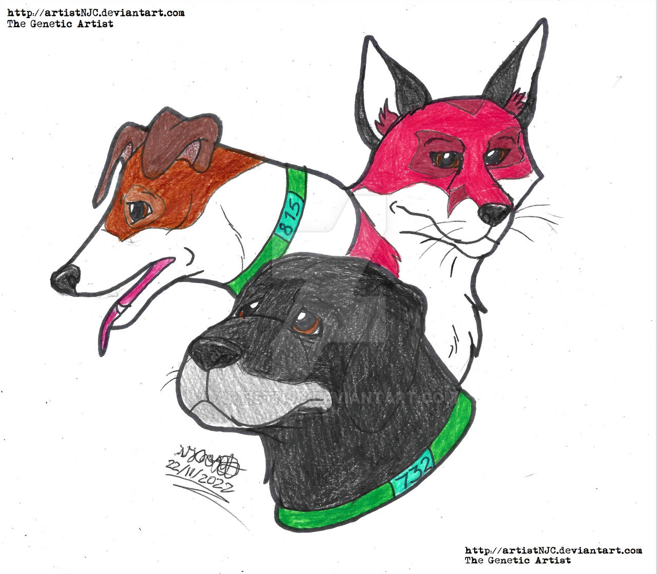 Rowf, Snitter n' The Tod by artistNJC on DeviantArt