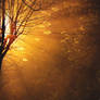 Finding Neverland 5