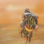 Masters of desert winds: North
