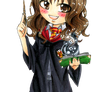 Harry Potter: Hermione