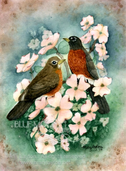 American Robins and Pink Dogwood Blossoms