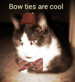 Bow ties are cool