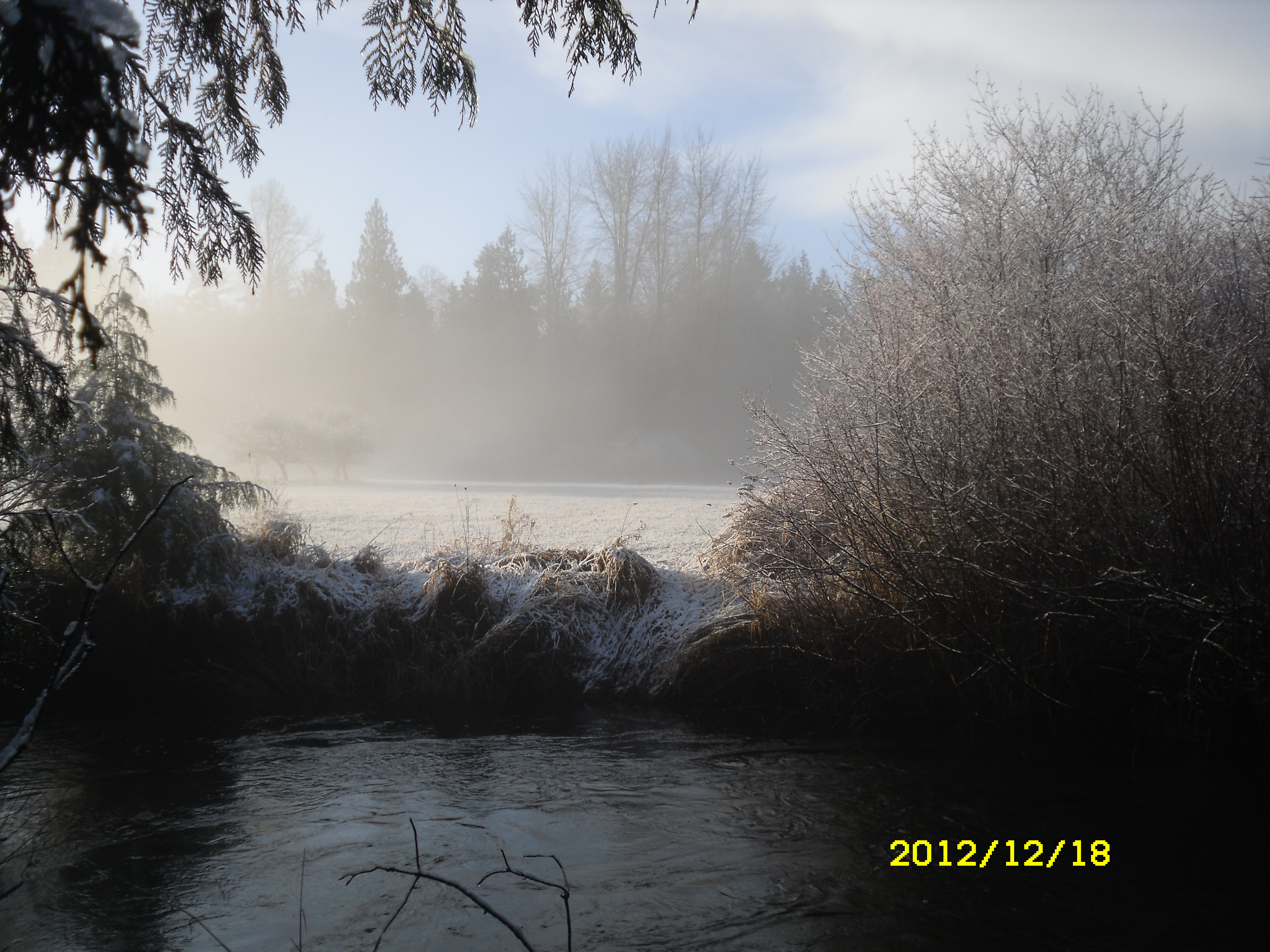 Fog filled field across the river