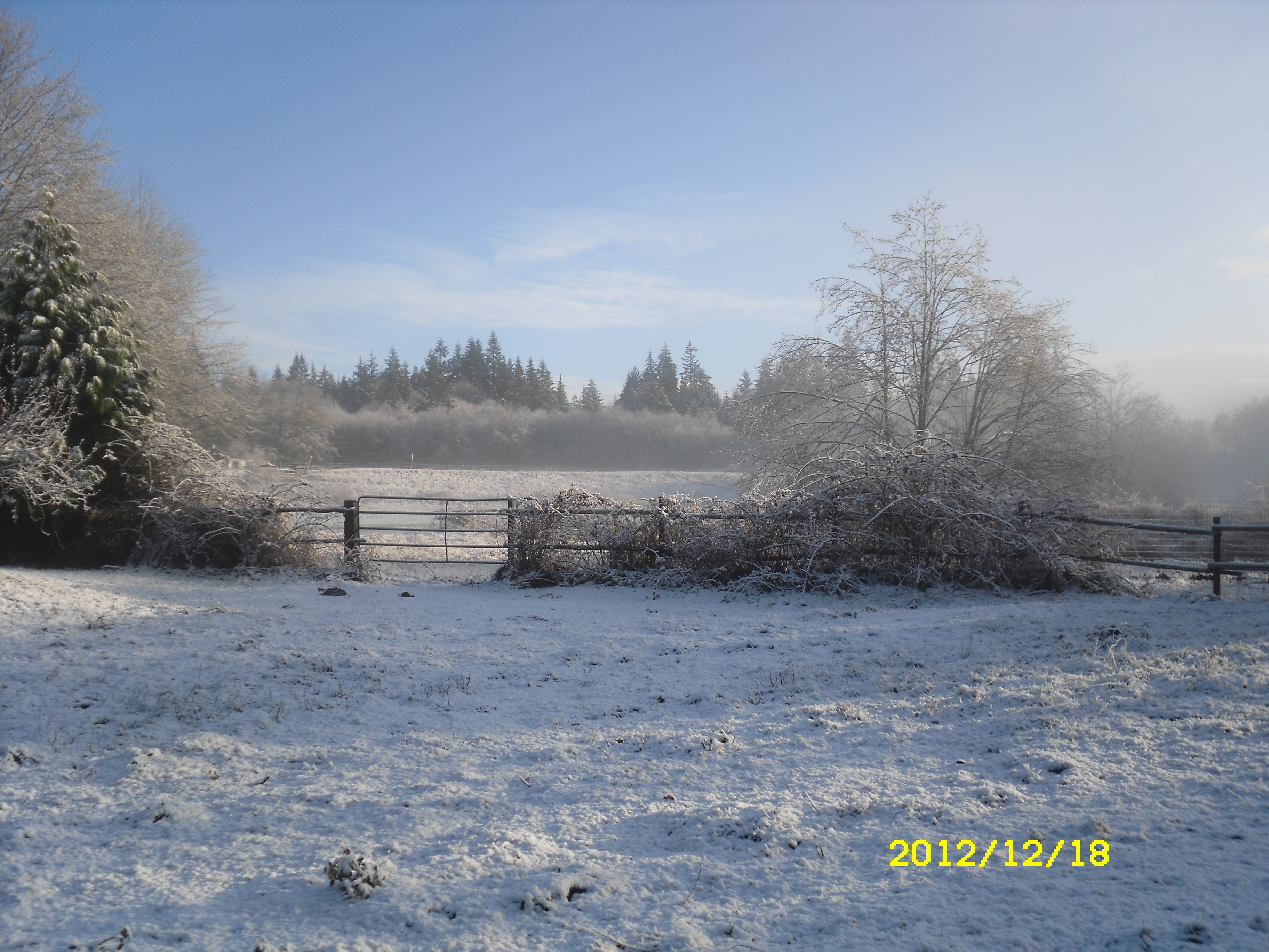 Back gate into the front field