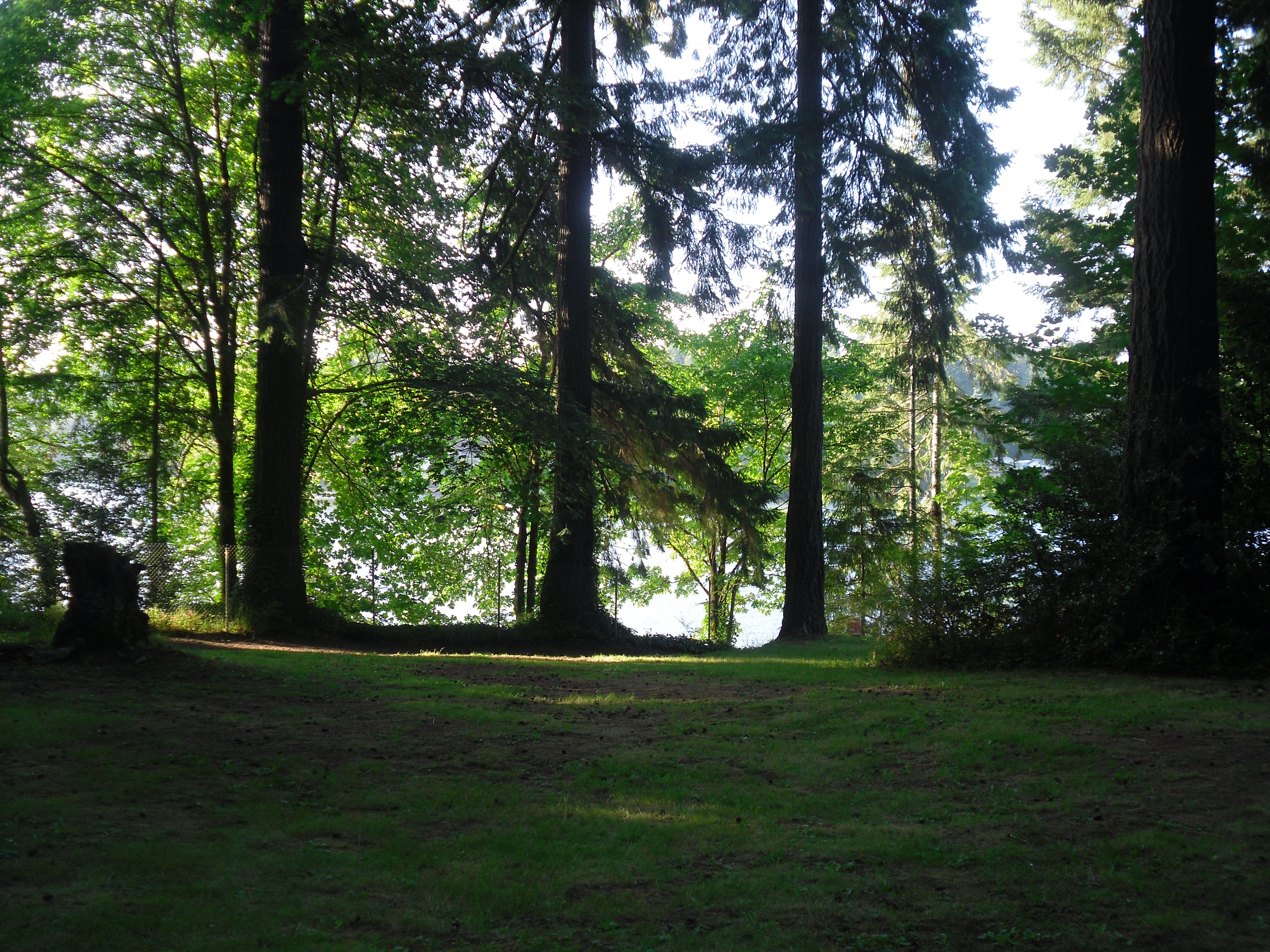 Walker Park, Bay beyond the tree line