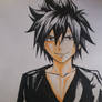 Gray Fullbuster