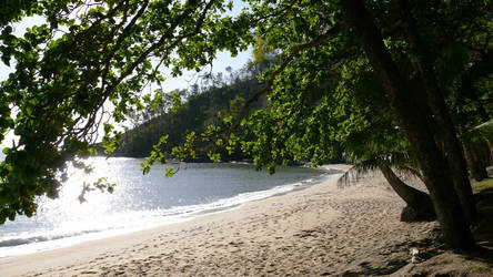 Waking up to the beach