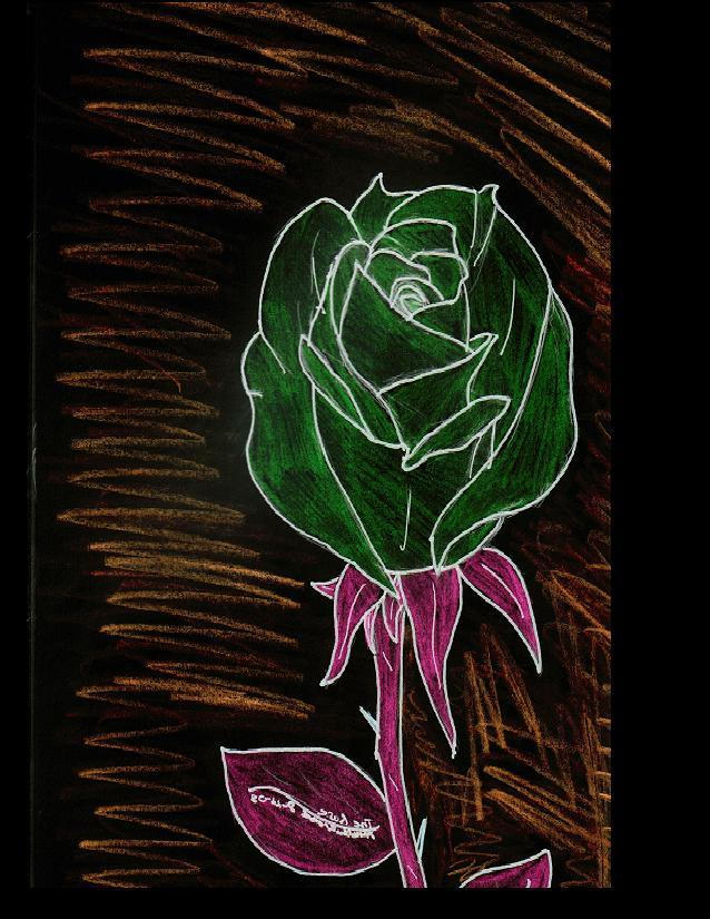Inverted Rose Pattern The Rose Inverted by Aviarianna on DeviantArt