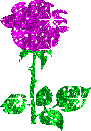 flower82