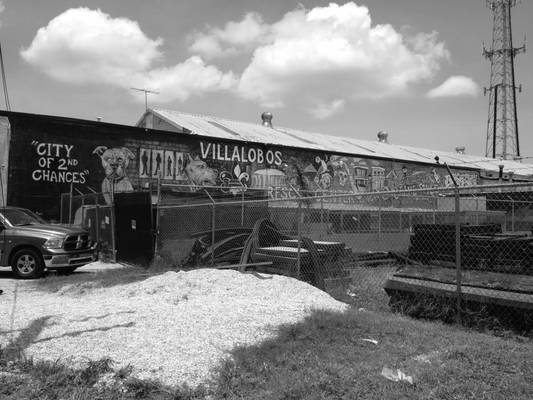 Villalobos Rescue - Black and White