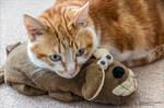 My little man and his favourite toy by AnnaKirsten