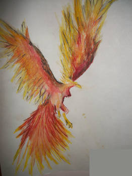 Phoenix