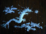 Year of the Dragon 2024!