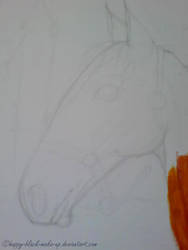 Horse WIP