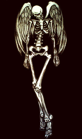 skeleton flash by TailorMaid on DeviantArt
