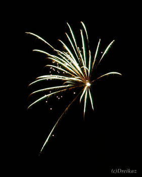 2012 firework