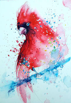 Cardinal. watercolor painting