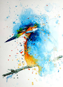 Kingfisher