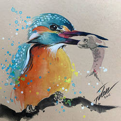 Kingfisher no.4