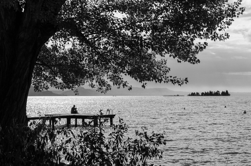 B/W Lake view