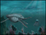 nessy by plumbit