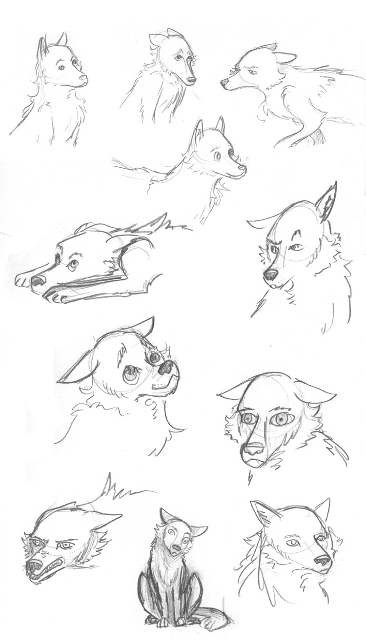 Wolfy Face sketchdump