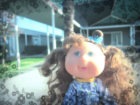 Tales from the Cabbage Patch