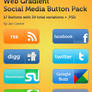 Web Social Media Button