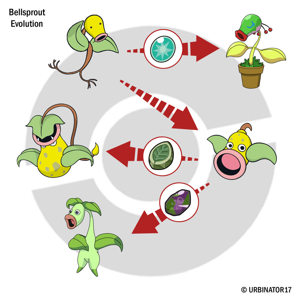 Bellsprout Evolution By Urbinator17 On DeviantArt bellsprout-evolution-by-urbinator17-on-deviantart