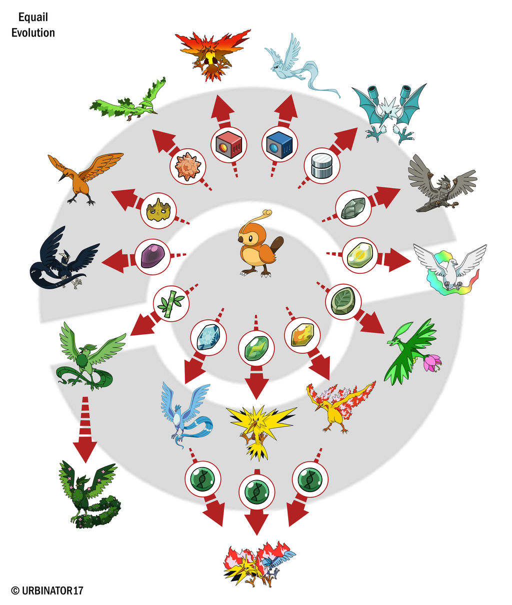 Equail Evolution by Urbinator17 on DeviantArt
