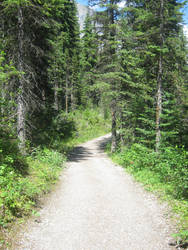 Path by the lake