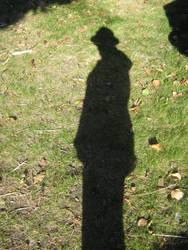 Shadow Silhouette I