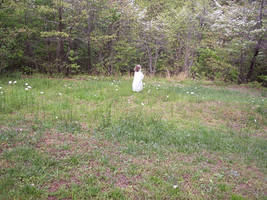 Picking Flowers