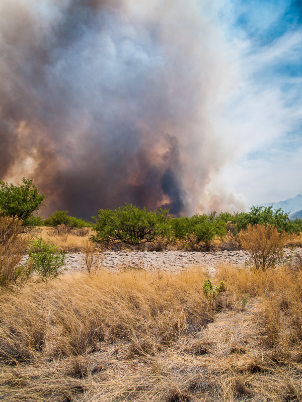 Monument Wildfire IV