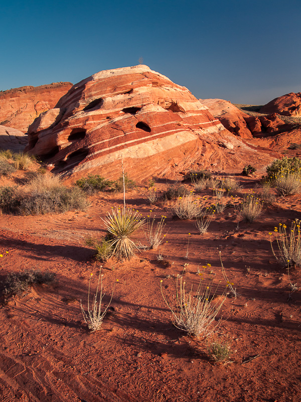 Valley Of Fire: Fire Wave I