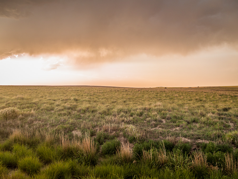 Kansas Prairie II